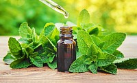 Essential Oils & Herbs